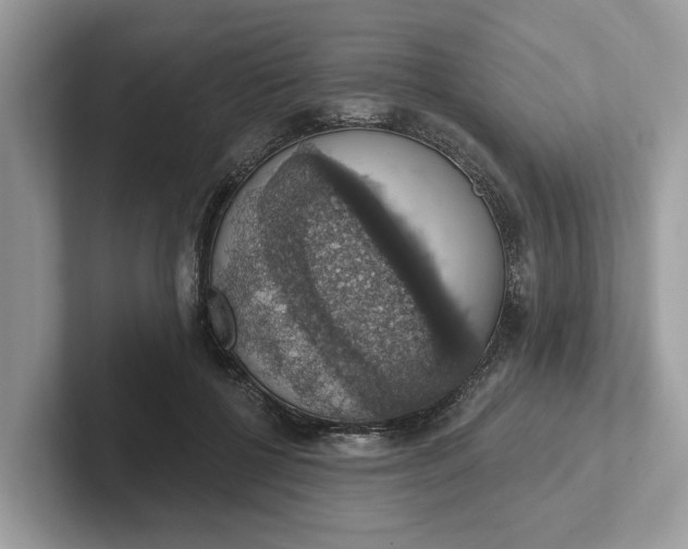 X0000101400552200807211036