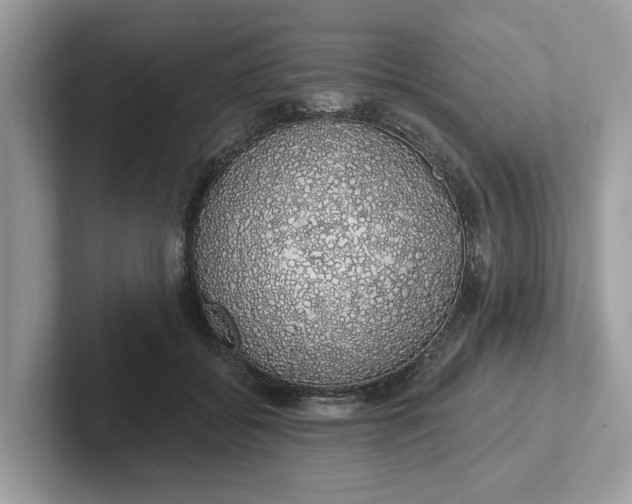 X0000101400556200807211036