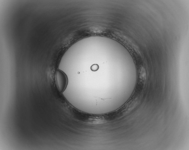 X0000101400559200807211036