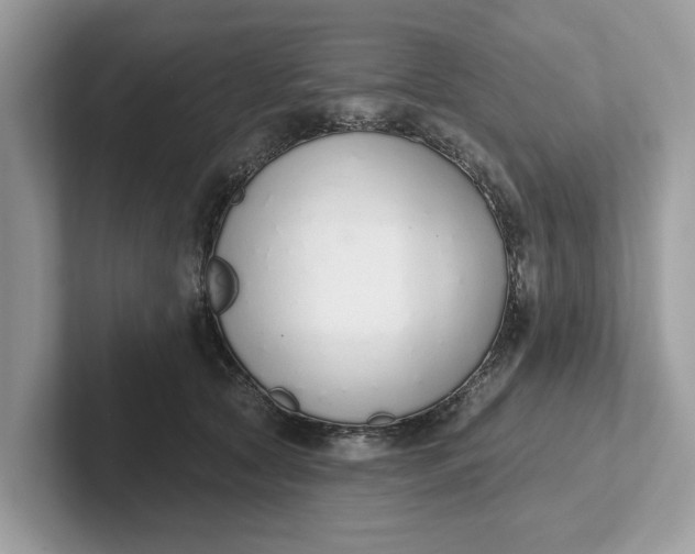 X0000101400561200807211036