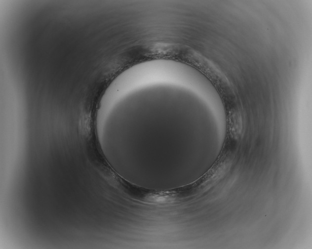 X0000101400563200807211036