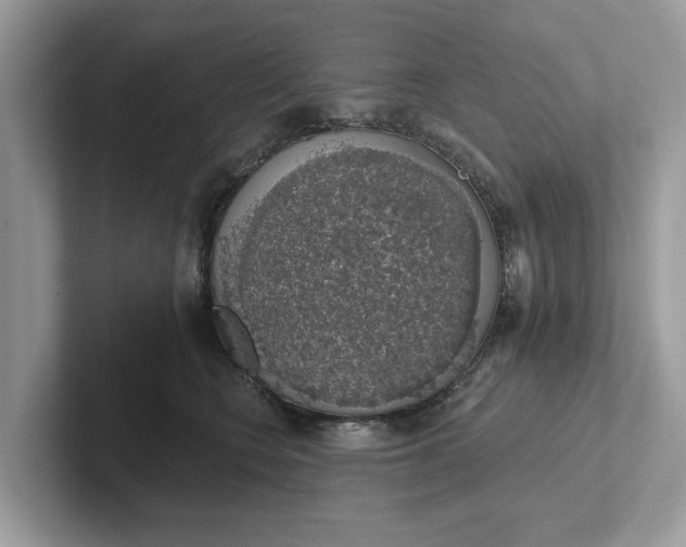 X0000101400566200807211036