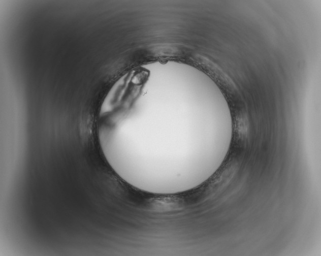 X0000101400567200807211036