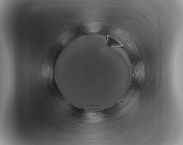 X0000101400568200807211036