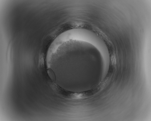 X0000101400570200807211036