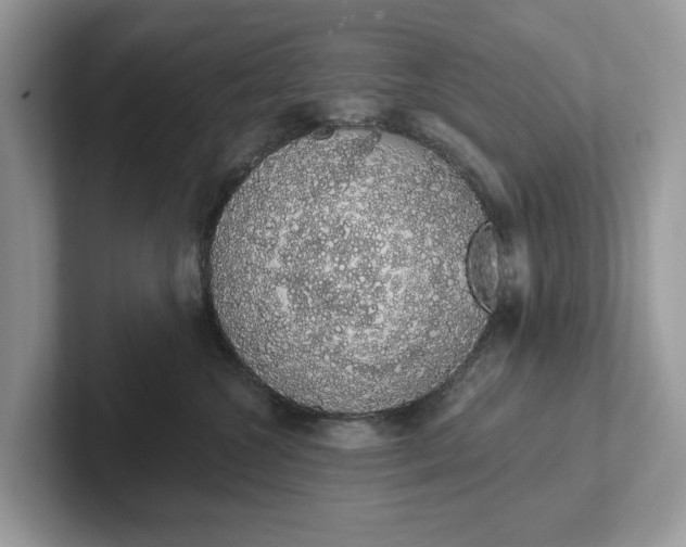 X0000101400572200807211036