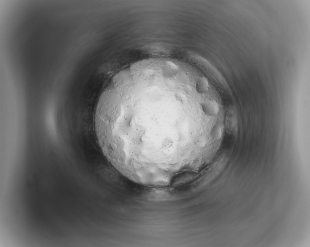 X0000101400573200807211036