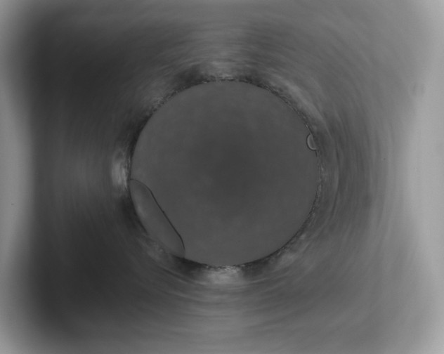 X0000101400576200807211036