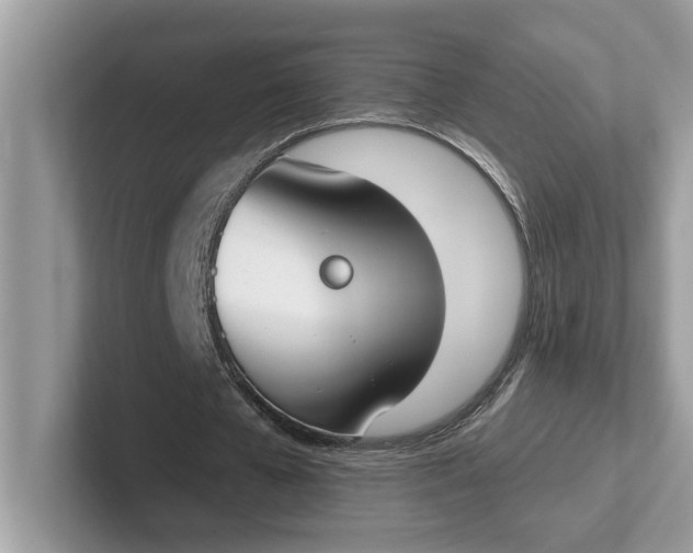 X0000101400577200807211036