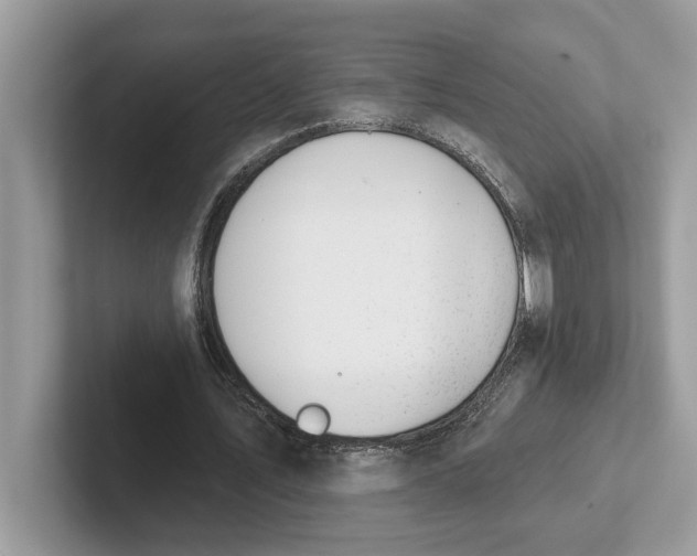 X0000101400579200807211036