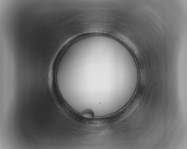 X0000101400580200807211036