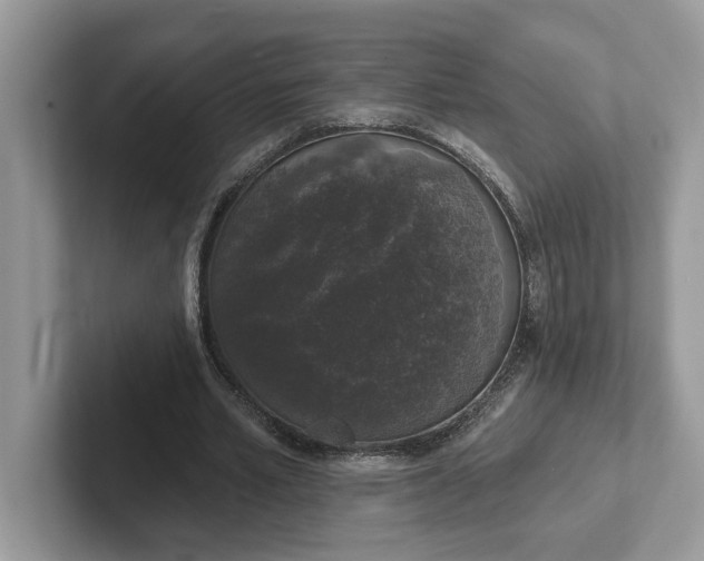 X0000101400581200807211036