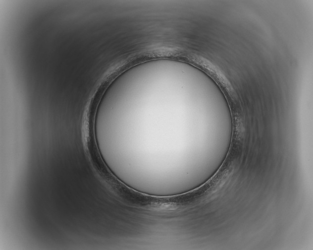 X0000101400582200807211036