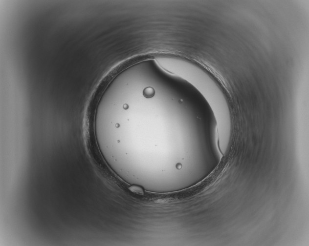 X0000101400584200807211036