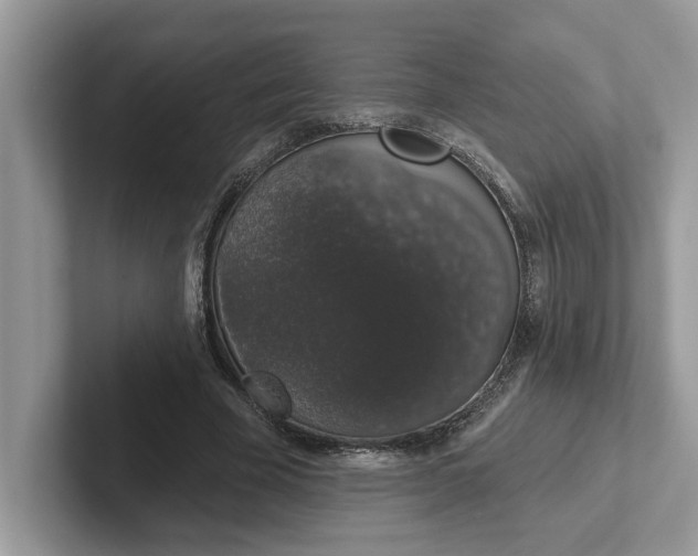 X0000101400585200807211036