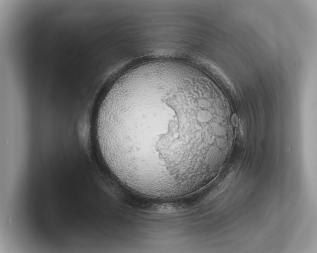 X0000101400588200807211036