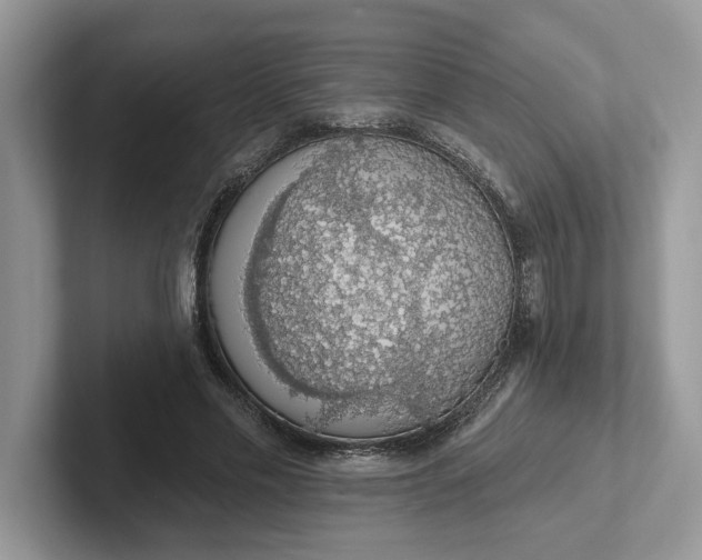 X0000101400589200807211036