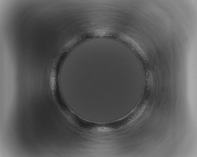 X0000101400590200807211036