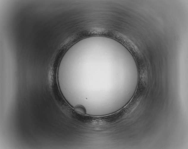 X0000101400591200807211036