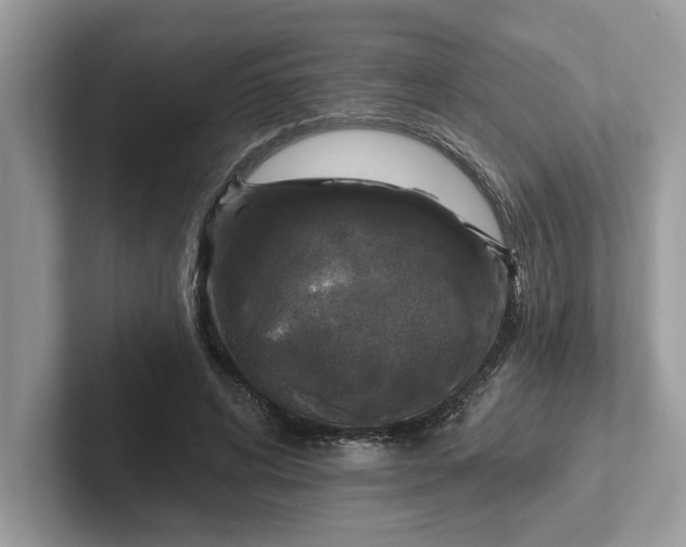 X0000101400592200807211036