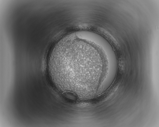 X0000101400593200807211036