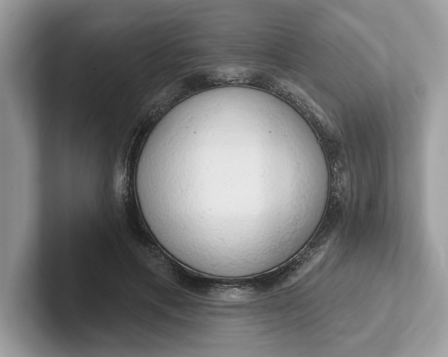 X0000101400597200807211035