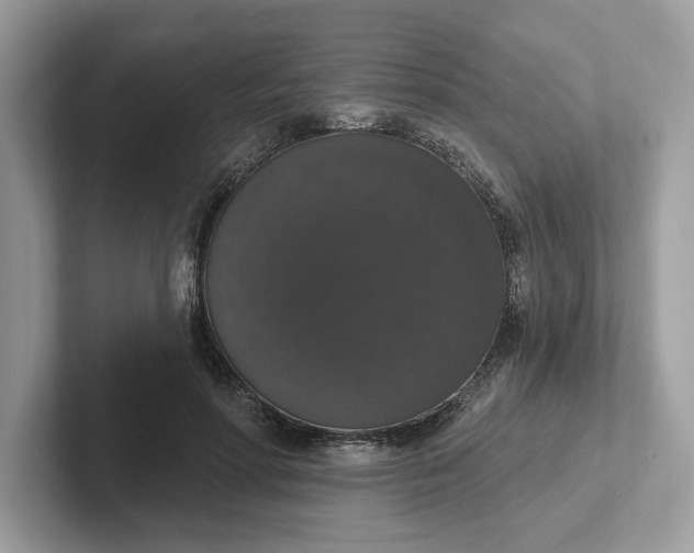 X0000101400598200807211035