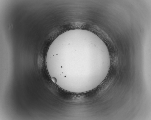 X0000101400599200807211035