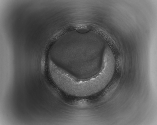 X0000101400600200807211035