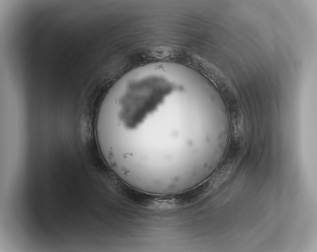 X0000101400606200807211035