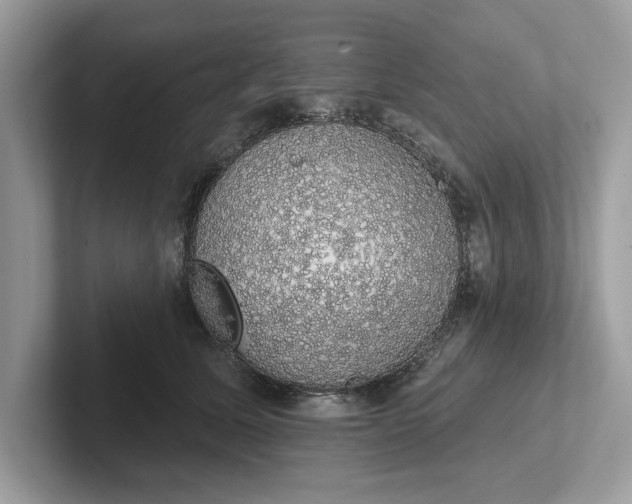 X0000101400611200807211035