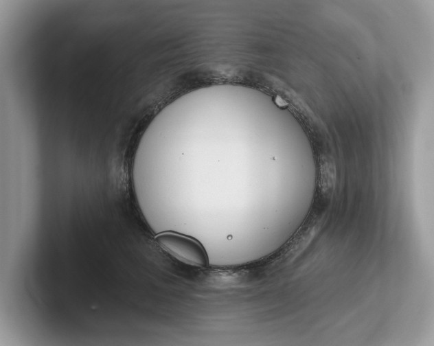 X0000101400613200807211035