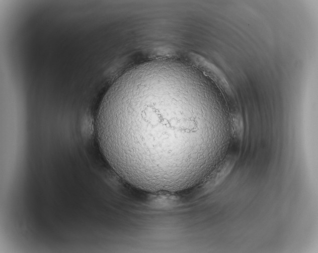 X0000101400621200807211035