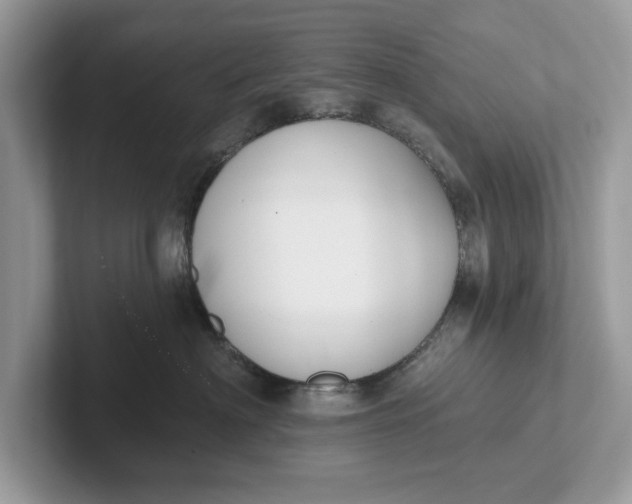 X0000101400622200807211035