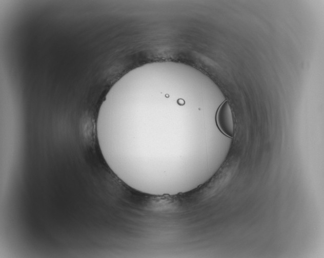 X0000101400624200807211035