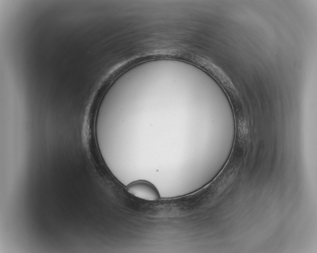 X0000101400628200807211034