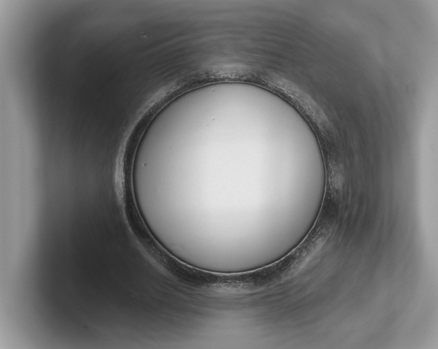 X0000101400630200807211035