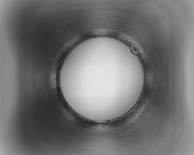 X0000101400633200807211035