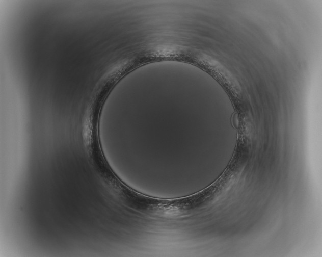 X0000101400640200807211035