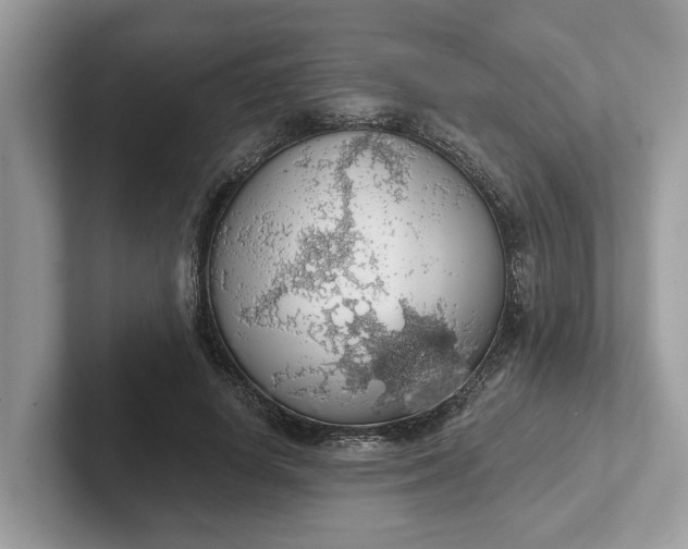 X0000101400642200807211035