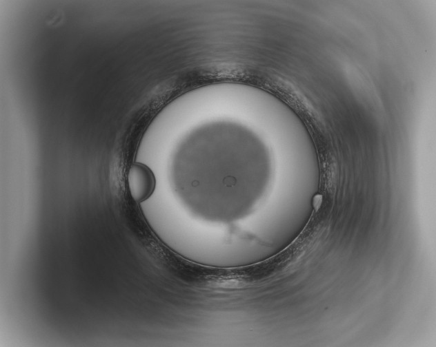 X0000101400643200807211035