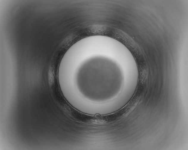 X0000101400644200807211035