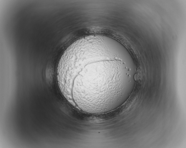 X0000101400648200807211035