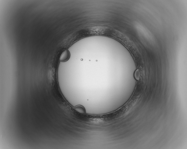 X0000101400649200807211035