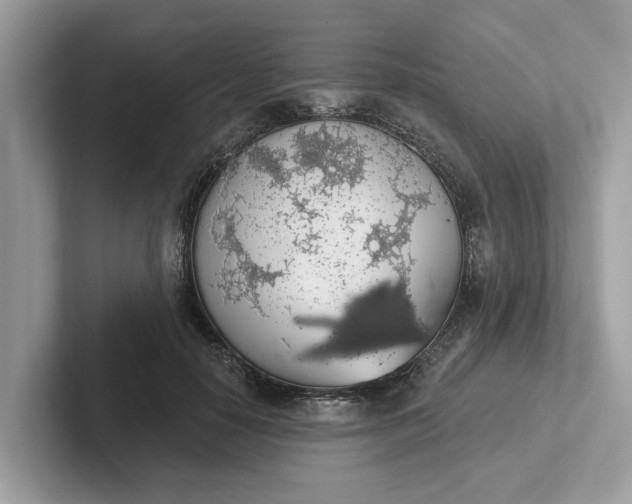 X0000101400650200807211035