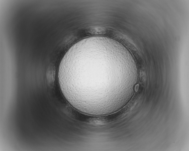 X0000101400652200807211035