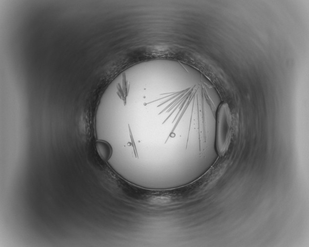 X0000101400653200807211035