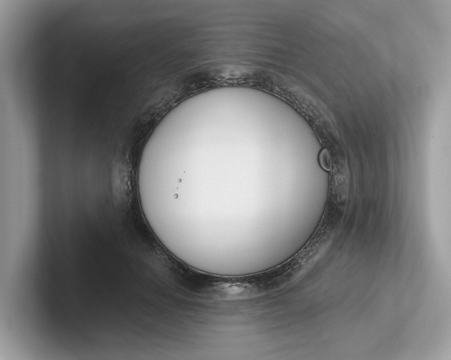 X0000101400654200807211035