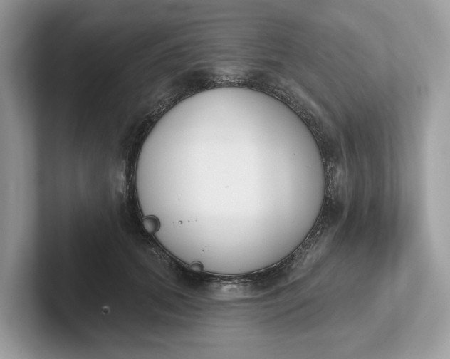 X0000101400655200807211035