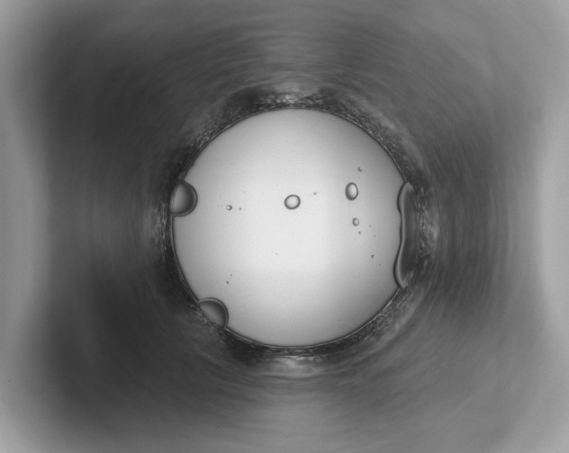 X0000101400657200807211035